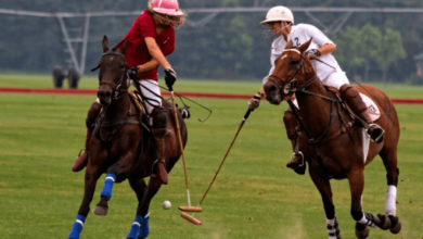 What is the role of each player position in polo?