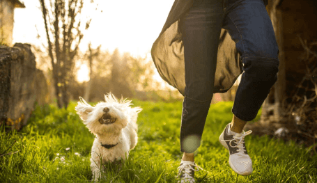 Hamster Happiness: Essential Care Tips for Australian Pet Owners