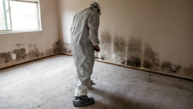The Role of Mold Inspections in Preventing Health Problems