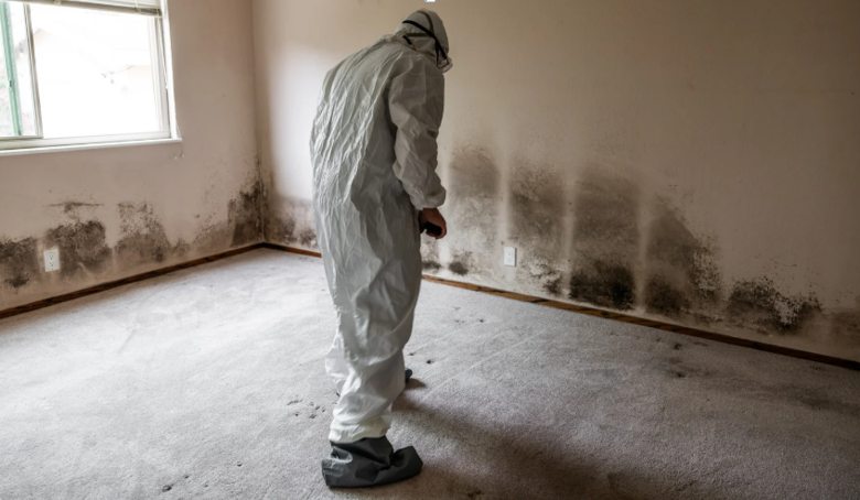 The Role of Mold Inspections in Preventing Health Problems