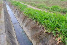 A Guide to Drainage System Design: Planning and Layout for Your Yard