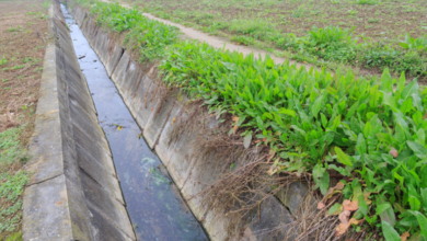 A Guide to Drainage System Design: Planning and Layout for Your Yard